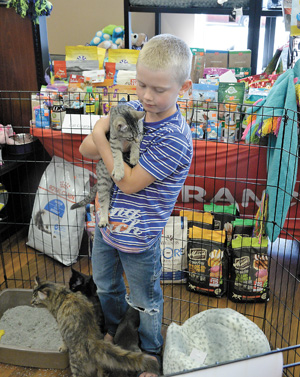 Pet valu discount cat adoption